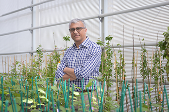 Portrait of Rishikesh Bhalearo standing in one of the greenhouses at UPSC with hybrid aspen plants standing in front and behind him